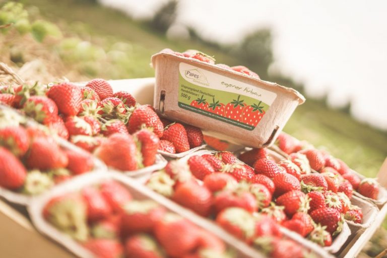 Erdbeeren aus dem Selbstpflückfeld in Braunschweig
